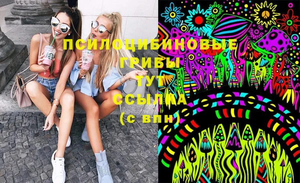 не бодяженный Дмитровск